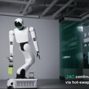 홀리데이 이미지