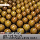 굿모닝베이커리 이미지