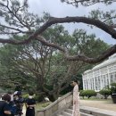 대림교육