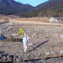 두동농장 이미지