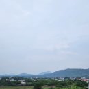 여름제주 5일차 아이와함께 제주여행 가볼만한곳(어니스트밀크.빗소리.김녕해변.주디카페.용연구름다리)