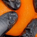 청도상회 이미지