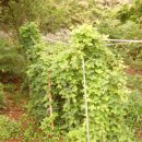 한양농장(2) 이미지