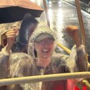 터미널 개방 | 마카오 야경 버스투어 솔직후기 | 가격, 시간, 외항 페리 터미널 가는 법 총정리 (feat.폭우)