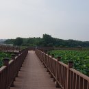 안골관광농원 이미지