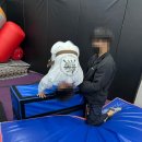 무빙 익스트림 태권도장 | 돈암동태권도 무빙익스트림태권도 아이자신감 키워줘요