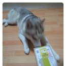 냠냠쩝쩝 이미지