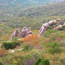 남해-147 이미지