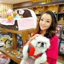 I-pet 동물병원 이미지