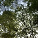 (주)정필