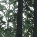 다래한방병원 이미지