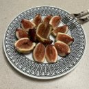 윤아축사 | 행복해지는 것들