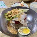 본가동해막국수 | [가평] 막국수 맛집 본가 신숙희 진골막국수 내돈내산 솔직 후기 (비빔으로 드세요!!)