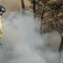 청사포공원 해월정 이미지