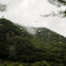 농협하나로마트 복수지점 이미지