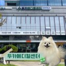 가야메디컬센터 | 강아지 건강검진 &amp; 셀뱅킹, 두카 메디컬센터 방문 후기