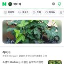 부영화원 이미지