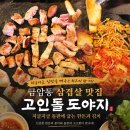 고인돌 | 오산 삼겹살 맛집 고인돌 도야지 가성비 한돈 솔직후기