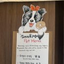 베이글펫 | 크림베이글 잠실점 | 석촌호수맛집 잠실베이글 맛집 추천 후기