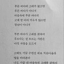 마시떼 이미지