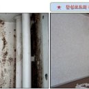 세모법인