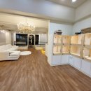 펫 탑 클래스 이미지