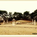 내곡동407 이미지