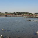 식산봉의 황근자생지 및 상록활엽수림 이미지