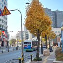 맥도날드하남시청점 이미지