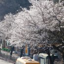 봉서3리 네이버블로그