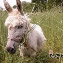 송우농장 이미지