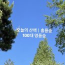 정직한주유소 화장실 | 오늘의 산책ㅣ서울 도심 속 비밀의 정원, '홍릉숲' 산책 가이드, 100대 명품숲, 주차, 물품보관, 예약...