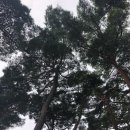 송죽가헌 이미지