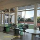 당당이 애견 이미지