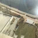 스트란트(THE STRAND) 이미지