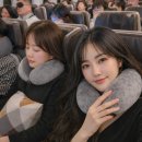 4라이프 - 화순군 | 스페인 여행 준비물 장거리 기내 필수템 라이프잇 목베개 4종 후기