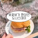 (주)데이뷰네트웍스 | 황구지천 벚꽃 명소 카페 도나스데이, 벚꽃뷰 미친 감성카페 추천🌸