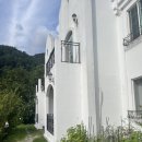 로로포레 이미지