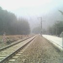 석포시장 이미지