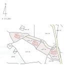 강정동-29 이미지