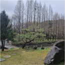 초이지아 이미지