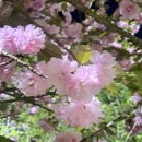 로하스랜드 이미지