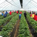 태금농장 이미지