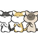 라폼