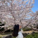 CU(진해경화점) 이미지