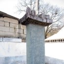 앵무세상 이미지