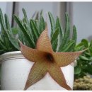 청계마을민박 이미지