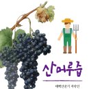 어래산농장 이미지