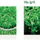 잔디당구장 이미지