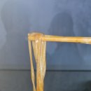 배달연구소속초점 네이버블로그